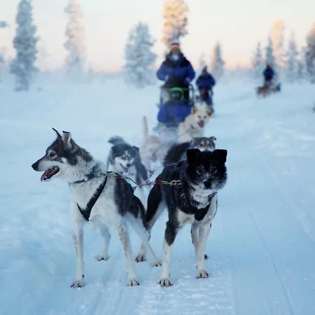 Saarikejo Huskylodge Шале